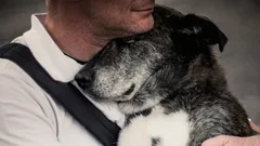 Será que o cão se lembra do seu dono após muitos anos de separação?